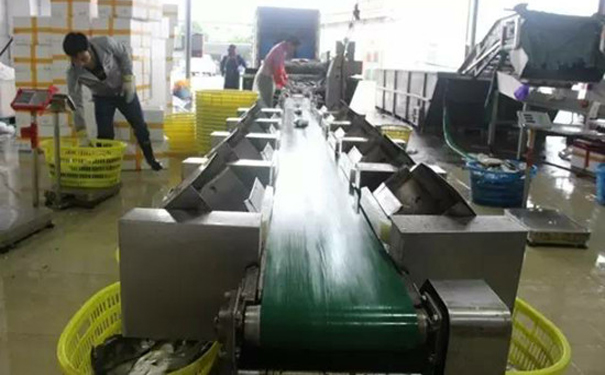 1530685566820717.jpg 強(qiáng)竟水產(chǎn).jpg