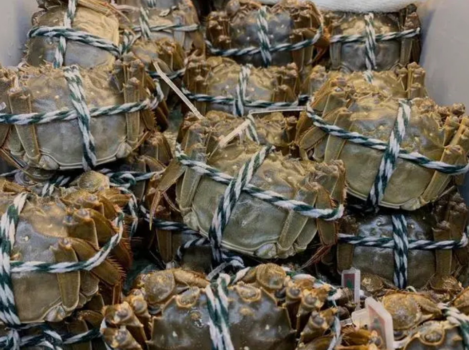 1689899519861883.png 1689899519861883.png