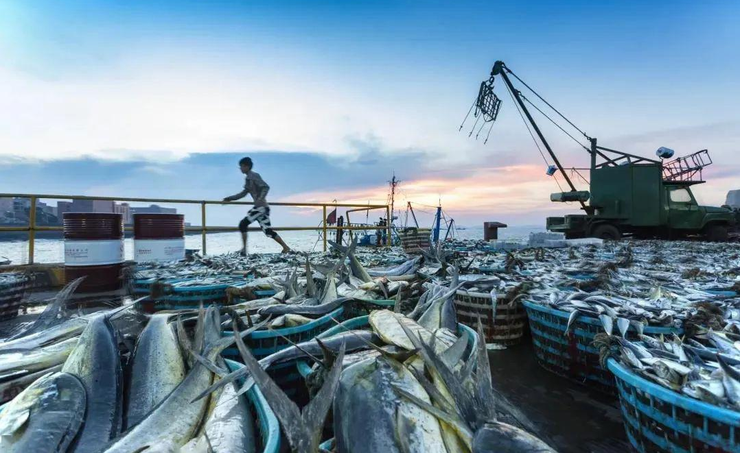 1703725737522707.png 1703725737522707.png